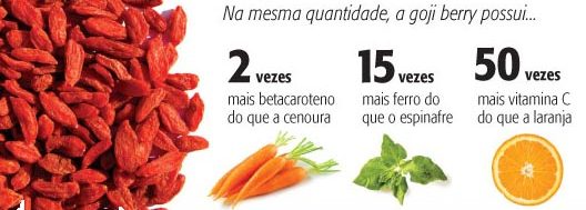 11 motivos para incluir a Goji Berry na sua dieta.