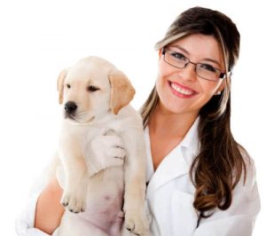 homeopatia veterinaria pet